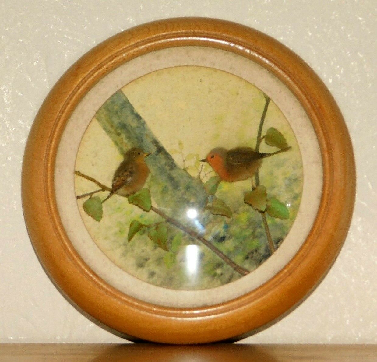 Robin and Young (Version 3) (5-inch)